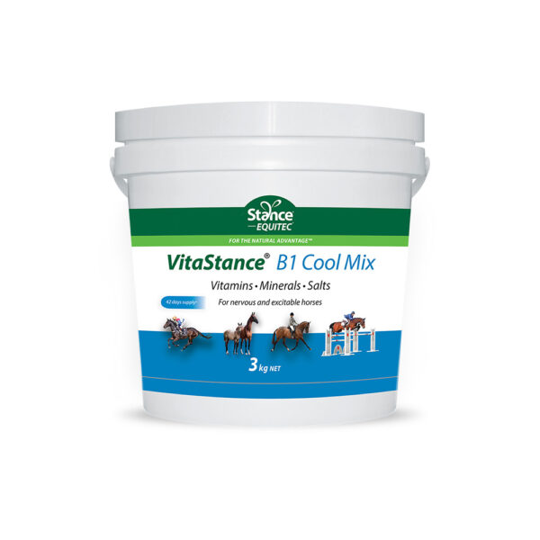 Vitastance B1 Cool Mix 3Kg - Vitamins And Minerals For Horses